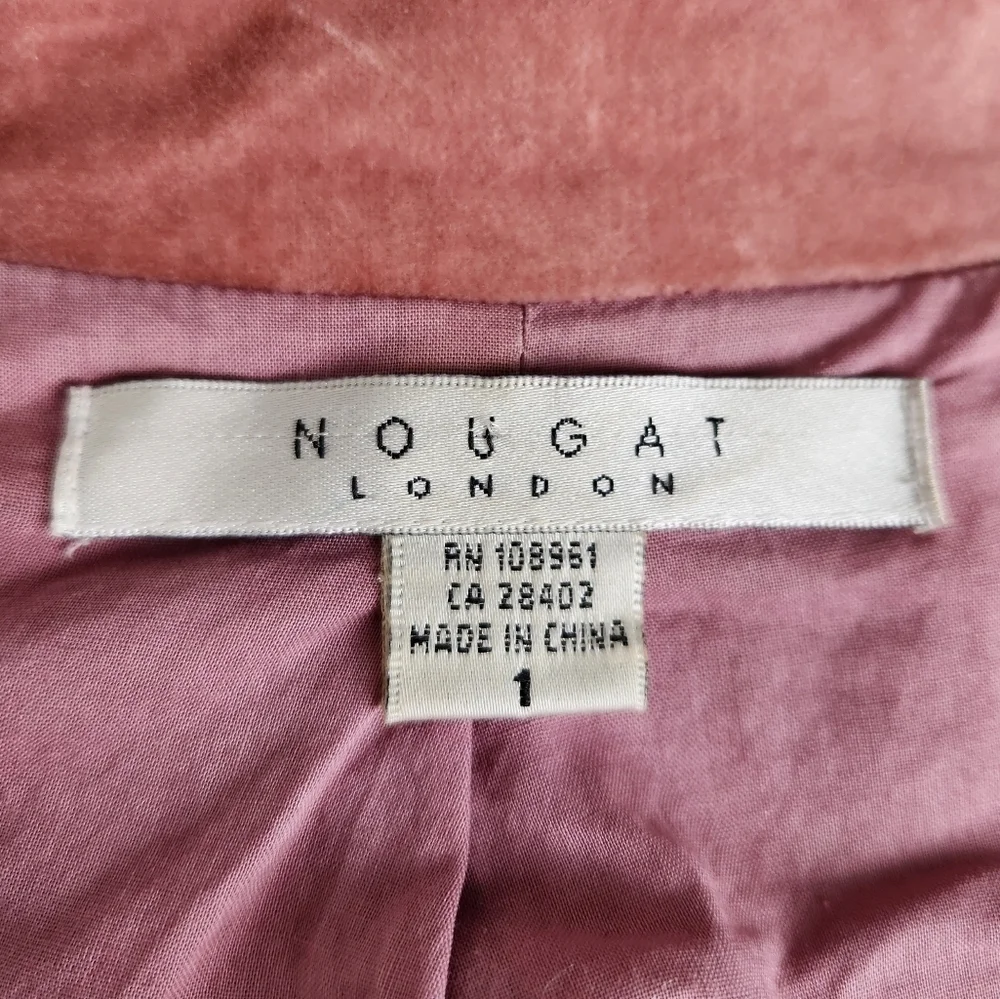 Vintage Pink Velvet Victorian Blazer - Picture 15 of 15